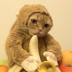 Meet your Posher, Josue